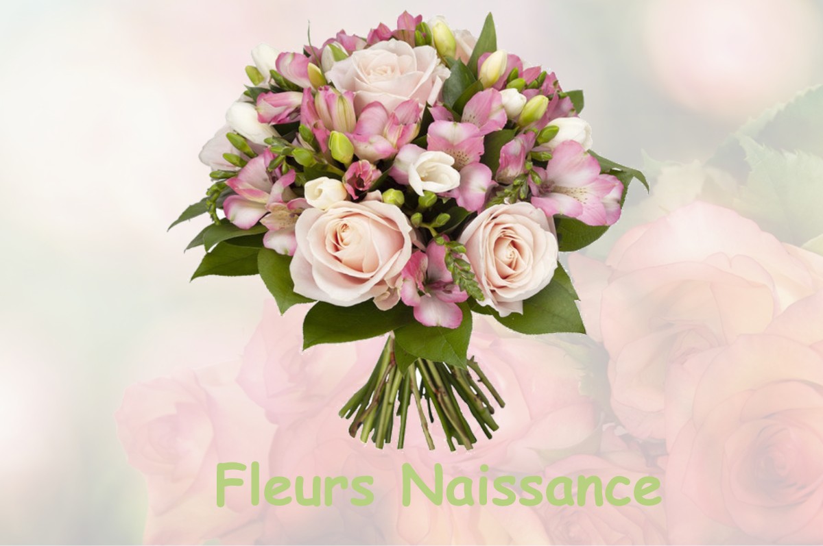 fleurs naissance NEUVILLE-SUR-ORNAIN