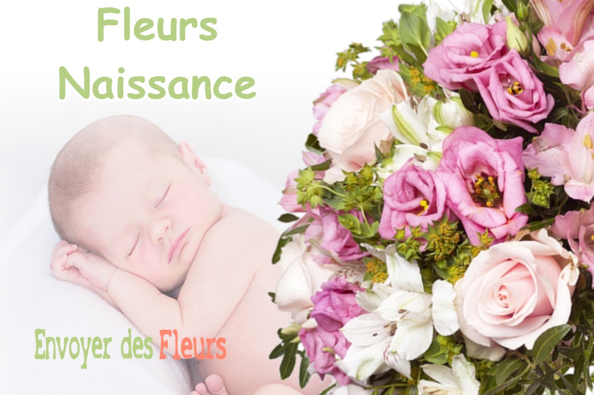 lIVRAISON FLEURS NAISSANCE à NEUVILLE-SUR-ORNAIN